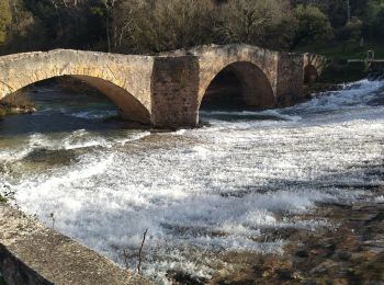 Randonnée Marche Vins-sur-Caramy - Vins Sur Caramy Château Vieux, lac de Carcès et pont du Moyen Age - Photo