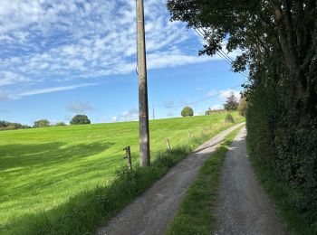 Randonnée Marche Raeren - Hauset 22,8 km - Photo