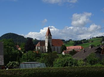 Tour Zu Fuß Semriach - R11 Lehrwanderweg - Photo