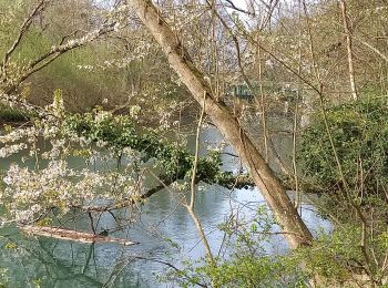 Excursión Senderismo Barberey-Saint-Sulpice - Barberey st Lyé Pont canal 17,3km - Photo