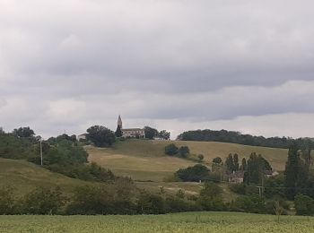 Trail Walking Saint-Gauzens - Saint Gauzens chemin de Gaudentius - Photo