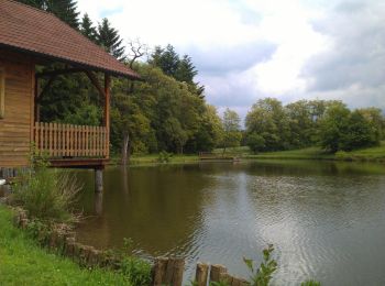 Trail On foot Kobersdorf - Kobersdorf - Landsee - Photo