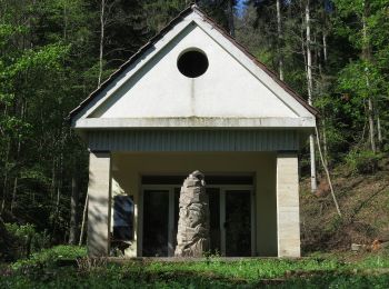 Tocht Te voet Rottenburg am Neckar - Sieben-Täler-Runde - Photo