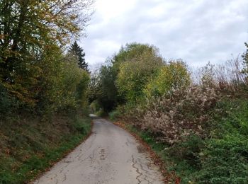 Tour Wandern Tenneville - Boucle agricole - Le circuit de la ferme des Frênes  - Photo