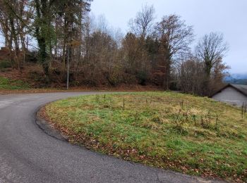 Randonnée Marche Vieux-Moulin - Vieux-Moulin - Plateau Saint Maurice - Vieux-Moulin - Photo