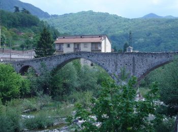 Percorso A piedi Busalla - Ronco - Minceto - Reopasso - Photo