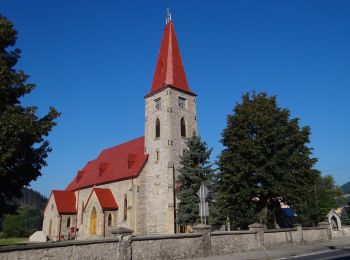 Tocht Te voet okres Dolný Kubín - Náučný chodník okolo Ostrého vrchu - Photo