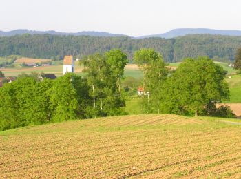 Tour Zu Fuß Neerach - Neerach - Kaiserstuhl Bahnhof - Photo