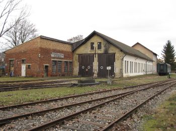 Percorso A piedi Gemeinde Mistelbach - MistelbachAktivRing - Photo