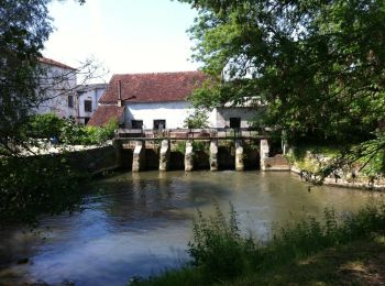 Tocht Stappen Saint-Ouen-sur-Morin - Les tocards de BOITRON.2 - Photo