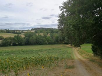 Randonnée Marche Castelnau-de-Montmiral - Chemins Montmiralais - Photo