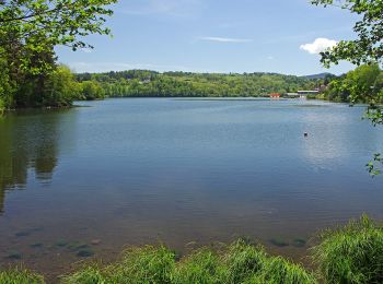 Tour Zu Fuß Aydat - Le Lac d'Aydat - Photo