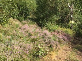 Tocht Stappen Chaudes-Aigues - Ballade dans les bois - Photo