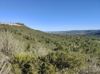 Tocht Stappen Thézan-des-Corbières - cirque de Viviès Chantal  - Photo