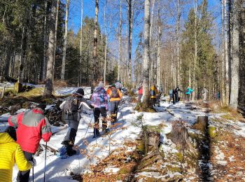 Tour Wandern Bois-d'Amont - D Jura - jeudi 23-01-2020 - La roches du Creux - Photo