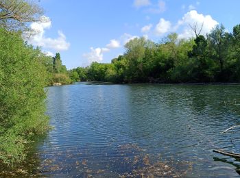 Randonnée Marche Viols-le-Fort - thezan les Béziers  - Photo