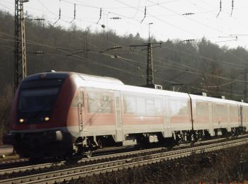 Percorso A piedi Laufach - Frohnhofen Rundwanderweg F1 - Photo