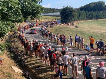 Tour Zu Fuß Saint-Martin-en-Haut - Circuit des Sources du Garon - Photo