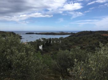 Trail Walking Cadaqués - Port Lligat Rabassers - Photo