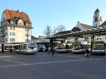 Tour Zu Fuß Dietikon - Dietikon - Oetwil a. d. L. - Photo