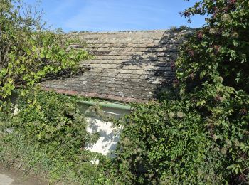 Tour Zu Fuß Gemeinde Hollabrunn - Heidbirnbaumweg - Photo