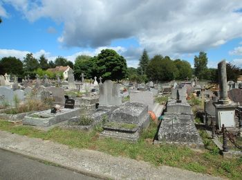 Randonnée A pied Le Mesnil-Saint-Denis - Liaison douce le Mesnil - Cheuvreuse - Photo