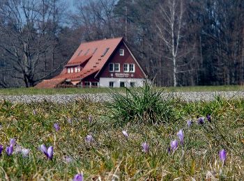 Tocht Te voet Calw - AugenBlick-Runde Bad Teinach (Zettelberg) - Photo