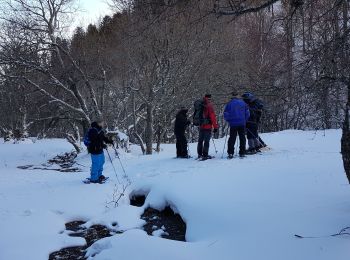 Trail Snowshoes Chambon-sur-Lac - Journée raquettes le 12/02/2019 - Photo