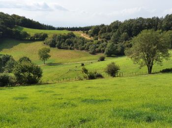 Tocht Stappen Yzeron - Yzeron - Les hauteurs d'Yzeron - Photo