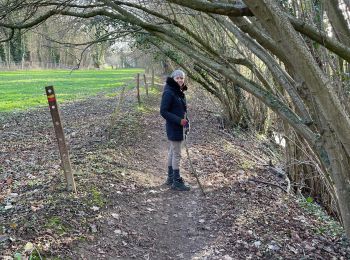 Trail Walking Chaumont-Gistoux - Tour Dion Bonlez - Photo