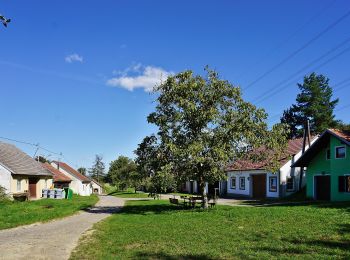 Tocht Te voet Gemeinde Atzenbrugg - Rosaliarundweg - Photo