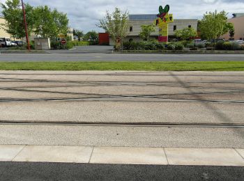 Percorso A piedi Rouillon - Chemin Jaune - Photo
