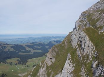 Randonnée A pied Wildhaus-Alt St. Johann - Tierwies - Langebüel - Photo