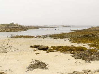 Trail Walking Plouguerneau - Côte Nord-est de Plouguerneau - Photo