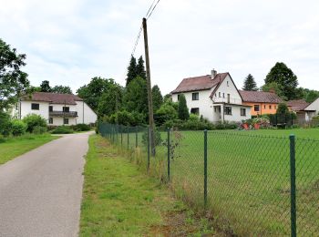 Randonnée A pied Jankov - NS Po stopách bitvy u Jankova - Photo