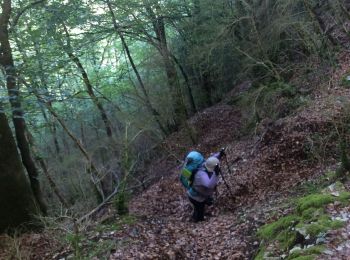 Randonnée Marche Moirans-en-Montagne - GR 9 - Étape 4 : La grange au Guy - Lavans-lès-St Claude - Photo