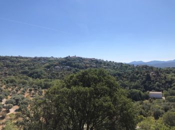 Tocht Fietstoerisme Saint-Cézaire-sur-Siagne - ST Cezaire Callian - Photo