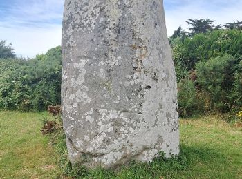 Excursión Bici de montaña Sarzeau - velo menhir - Photo