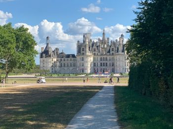 Tour Wandern Chambord - Chambord 1 - Photo