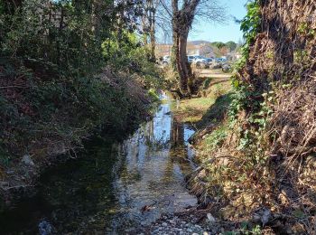 Tour Wandern Saint-Julien-les-Rosiers - Source de Garabiol - Photo