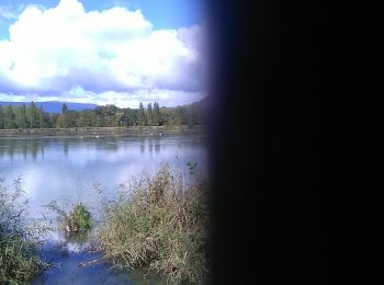 Trail Walking Chanaz - chanaz par vions - Photo