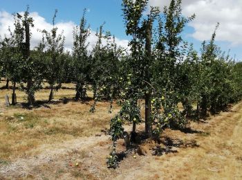 Tour Wandern Mesnil-en-Ouche - Landepereuse  - Photo