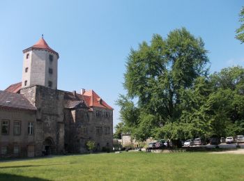 Tocht Te voet Goseck - Goseck-Lobitzsch-Rundweg - Photo