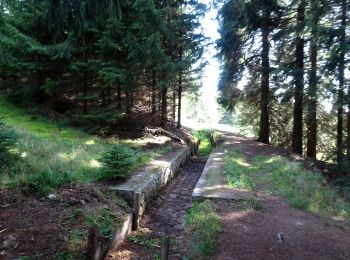 Percorso A piedi Potůčky - NS Blatná - Vlčí jámy - Photo