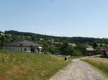 Excursión A pie Jasenná - NS Portášská - Photo