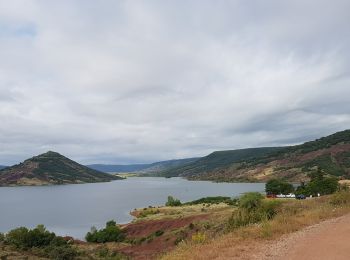 Excursión Marcha nórdica Celles - Les Vailhés - Lac du Salagou - Photo