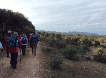 Trail Walking Orgon - PF-Orgon - La Plaine des Alpilles - Photo