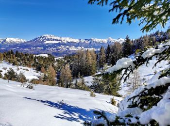 Tour Skiwanderen Selonnet - 20210218 - Tête grosse - Chabanon - Selonnet - Photo