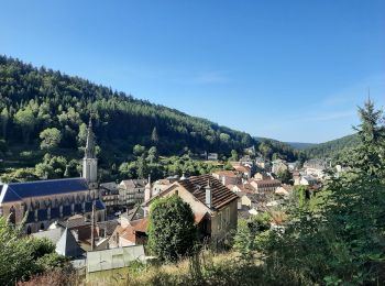 Randonnée Marche Plombières-les-Bains - plombières-moulin taquéré-le bohla 20220821 - Photo