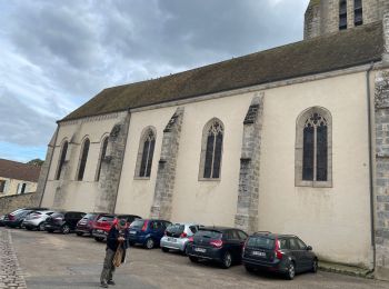 Randonnée Marche Moigny-sur-École - Autour du Château de Courances - Photo